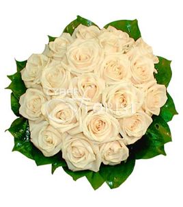 bouquet of cream roses